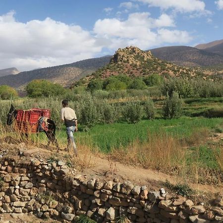 Alliance Berbere - Vallee D'Ait Bouguemez Timit Экстерьер фото