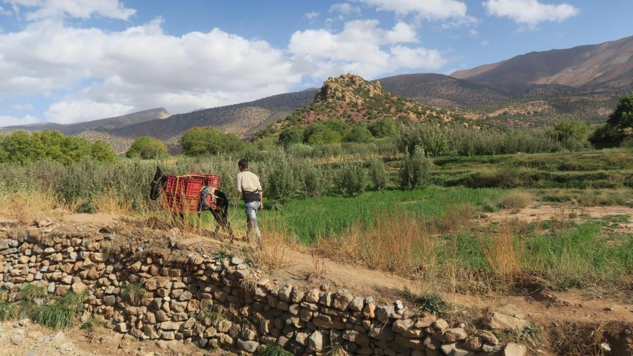 Alliance Berbere - Vallee D'Ait Bouguemez Timit Экстерьер фото